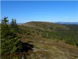 Weberkogel